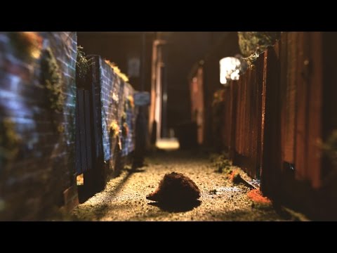 Hedgehog Close