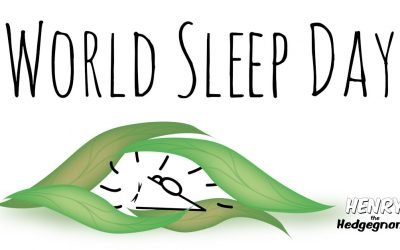 It’s World Sleep Day, so Henry the Hedgegnome is having a nap.