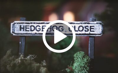 Hedgehog Close – Henry the Hedgegnome loves this video.